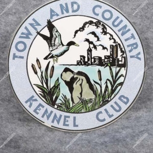 Town and Country Kennel Club 11-16-19 Saturday