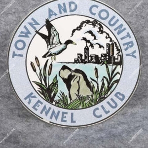 Town and Country Kennel Club 11-17-19 Sunday