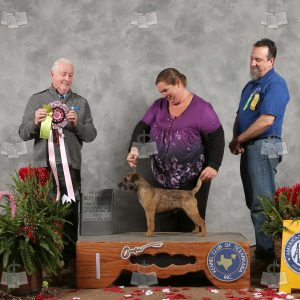WC0606A