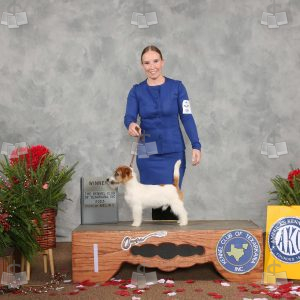 WC0711A