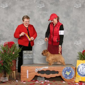 WC0807A