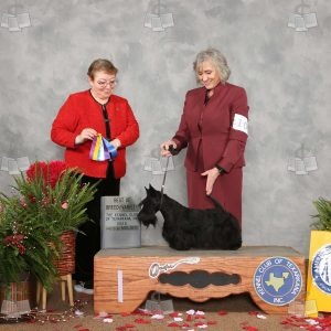 WC0808A