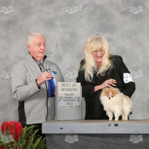 WC0901A