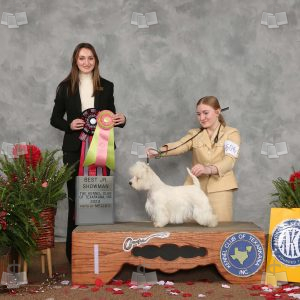 WC0904A