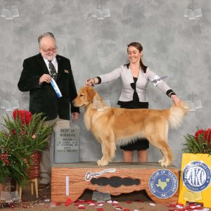 WC0906A