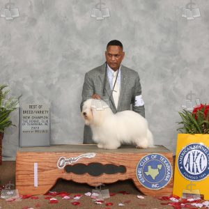 WC0907A
