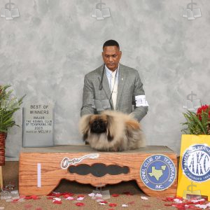WC0908A
