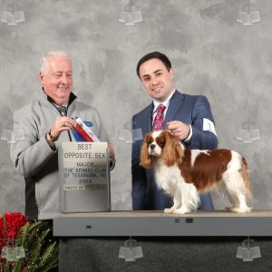 WC0910A