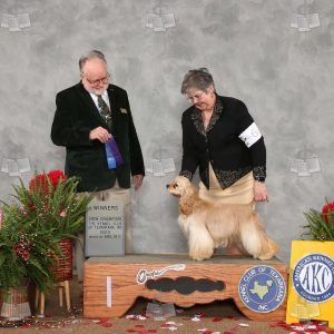 WC1111A