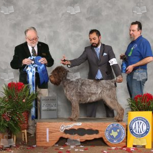 WC1407A