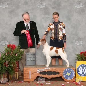 WC1408A
