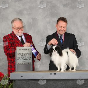 WC1712A
