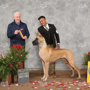 WC2201A