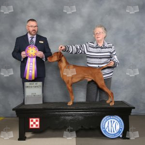 WE0309