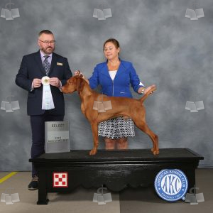 WE0406