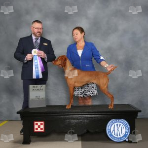 WE0407A