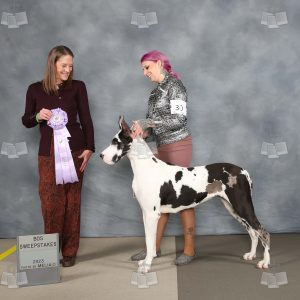 WE0609