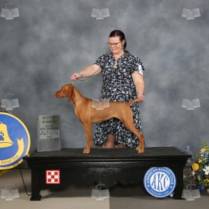 WE2308