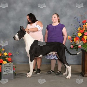 WF2012A