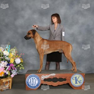 WG0909