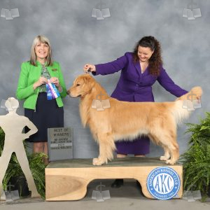 WI0512