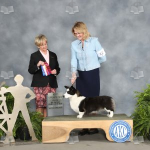 WI0602