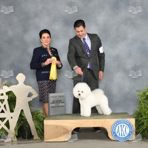 WI0611A