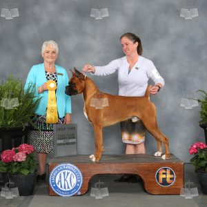 WK1106B