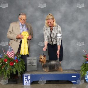 WM1311