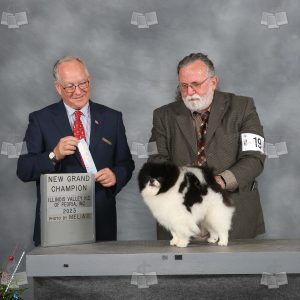 WM2104