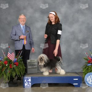 WM2112A