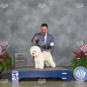 WM2201A