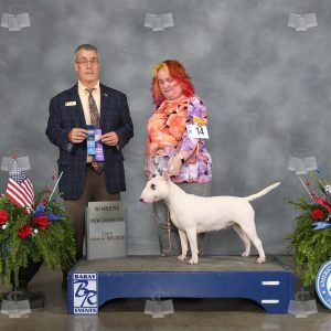 WM2306