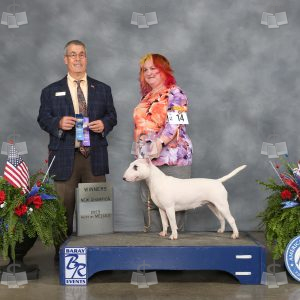 WM2306A