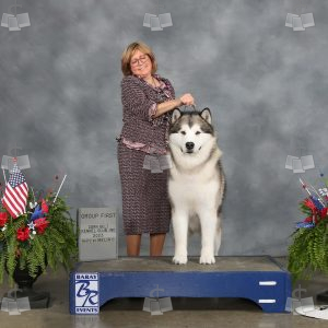 WM3613
