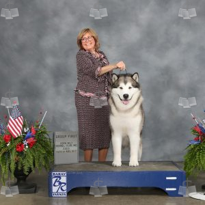 WM3615