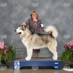 WM3616