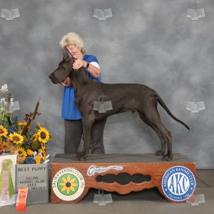 WO2105