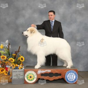 WO2405