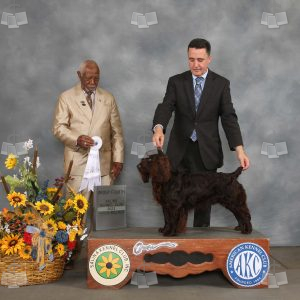 WO2409
