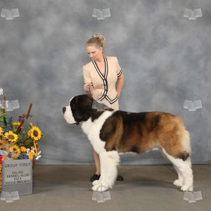 WO2605
