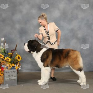 WO2606