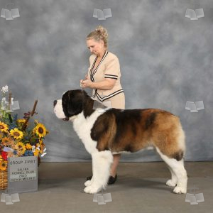 WO2608