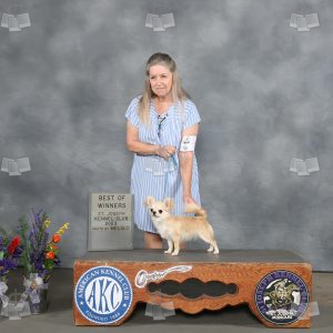 WQ0108A