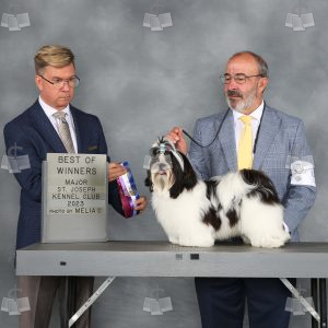 WQ0301