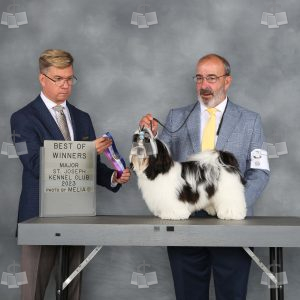 WQ0301B