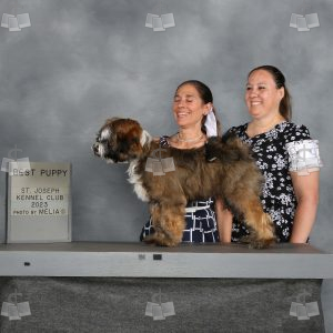 WQ0303