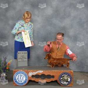 WQ0305
