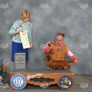 WQ0305A