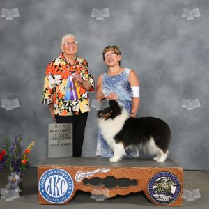 WQ0306